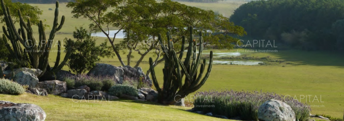 Terreno ID.29375 - Espectaculares chacras en venta  en Fasano