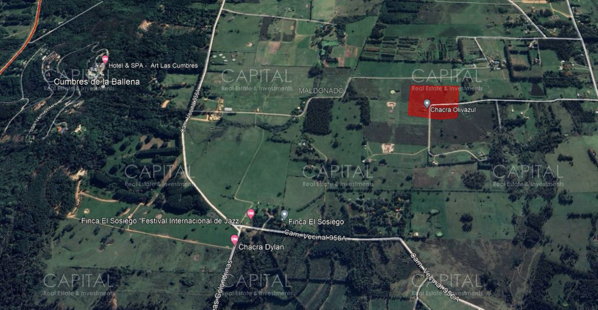 Terreno ID.34716 - Excelente Chacra de 5has en La Pataia