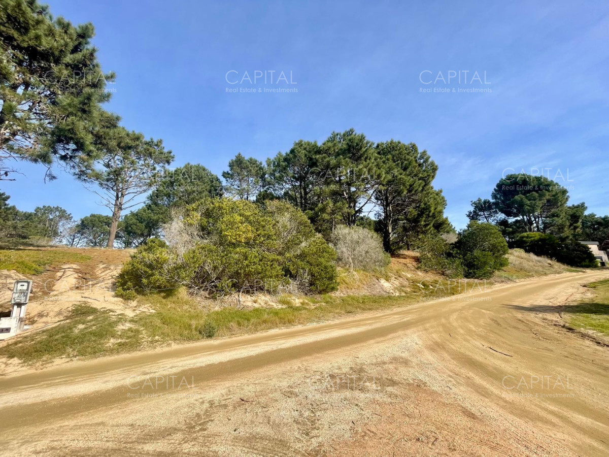 Terreno ID.38235 - Laguna Escondida barrio cerrado en José Ignacio 