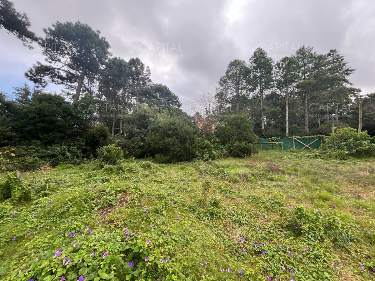 Terreno ID.36263 - Terreno en venta en el Golf de Punta Del Este 