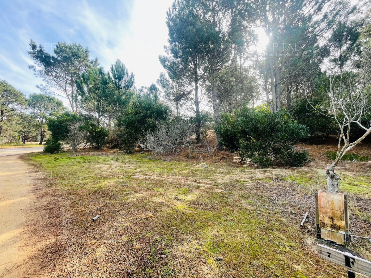 Terreno ID.32208 - Barrio Privado en Jose Ignacio 