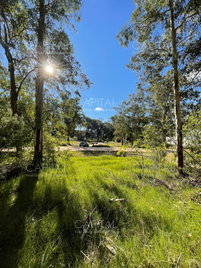 Terreno ID.40411 - Lote en venta en barrio cerrado Reserva Montoya en La Barra próximo almar