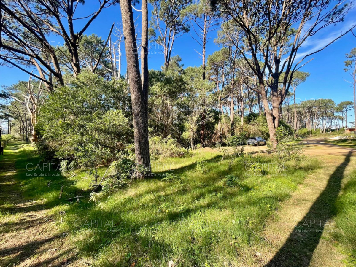 Terreno ID.38189 - Oportunidad Lote en barrio cerrado Reserva Montoya La Barra