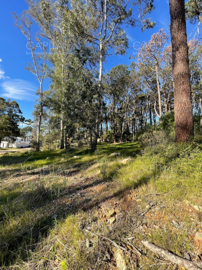 Terreno ID.40412 - Lote en venta en barrio cerrado Reserva Montoya en La Barra 