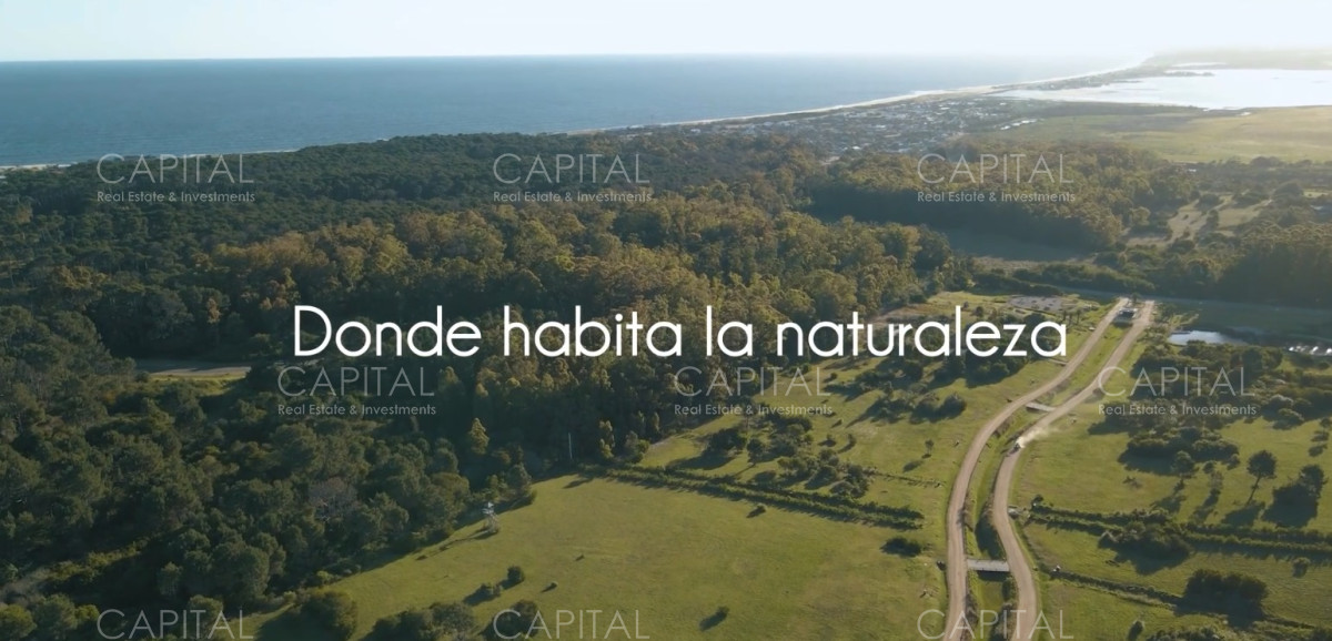 Terreno ID.39077 - Chacras de José Ignacio 