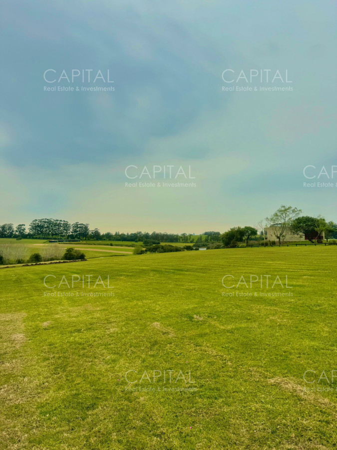 Terreno ID.36923 - Terreno en Venta en Fasano 