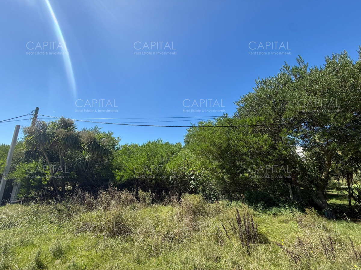 Terreno ID.39890 - Terreno en Venta Miramar Acres