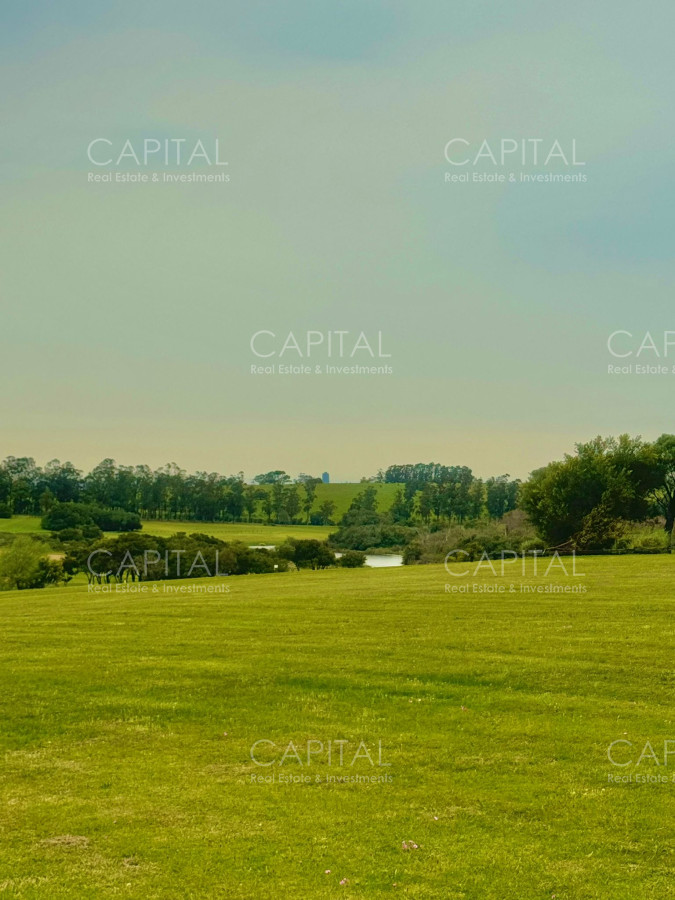 Terreno ID.36923 - Terreno en Venta en Fasano 