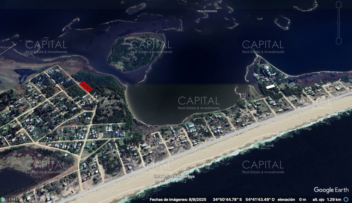 Terreno ID.39908 - Terreno en Santa Monica Jose Ignacio Sobre Laguna 