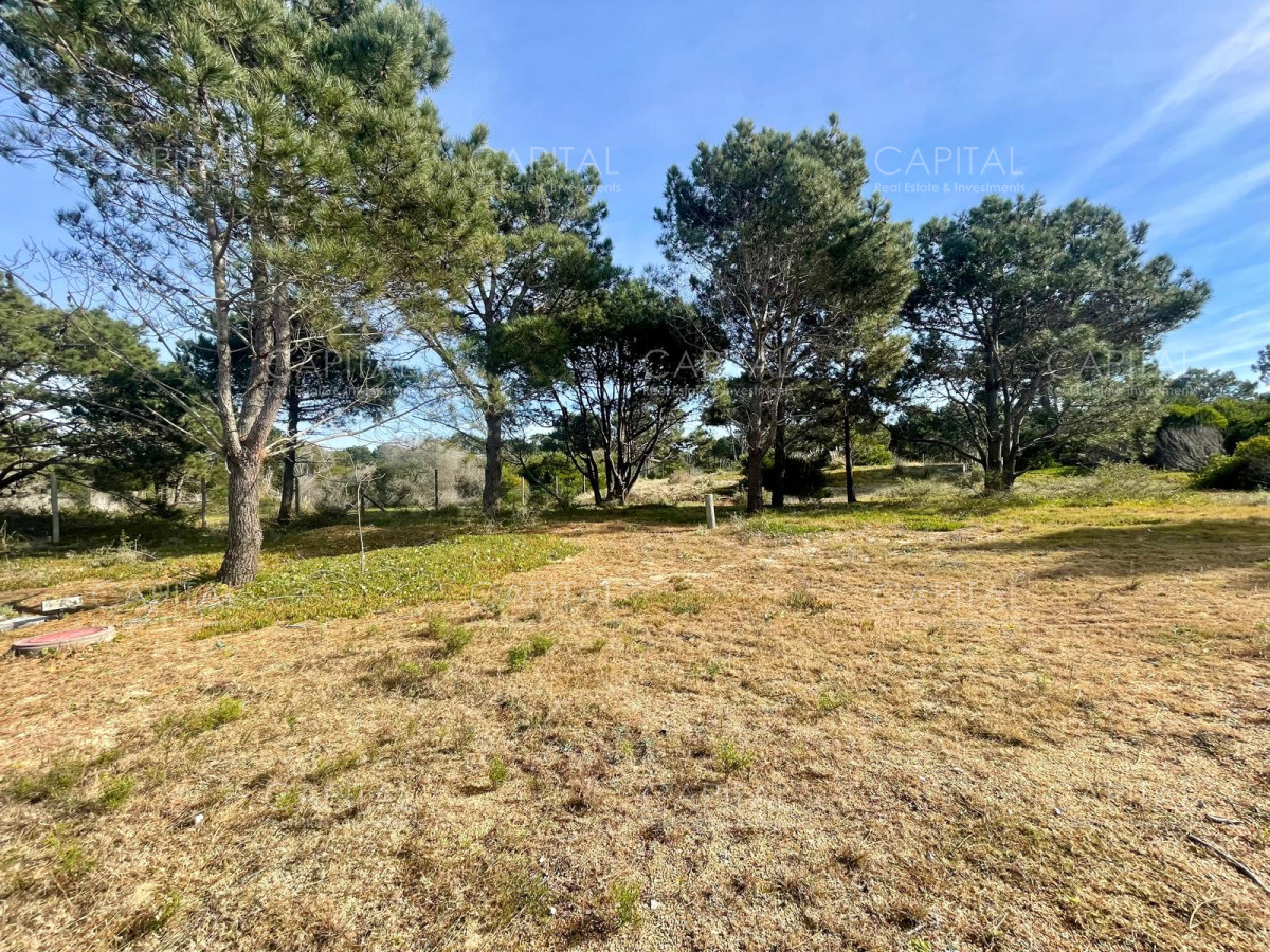 Terreno ID.32207 - Laguna Escondida barrio privado en Jose Ignacio 