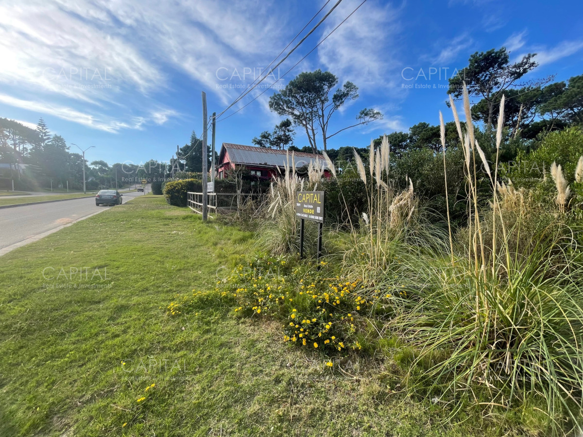 Terreno ID.38093 - Terreno en venta a pocos pasos de Playa Montoya