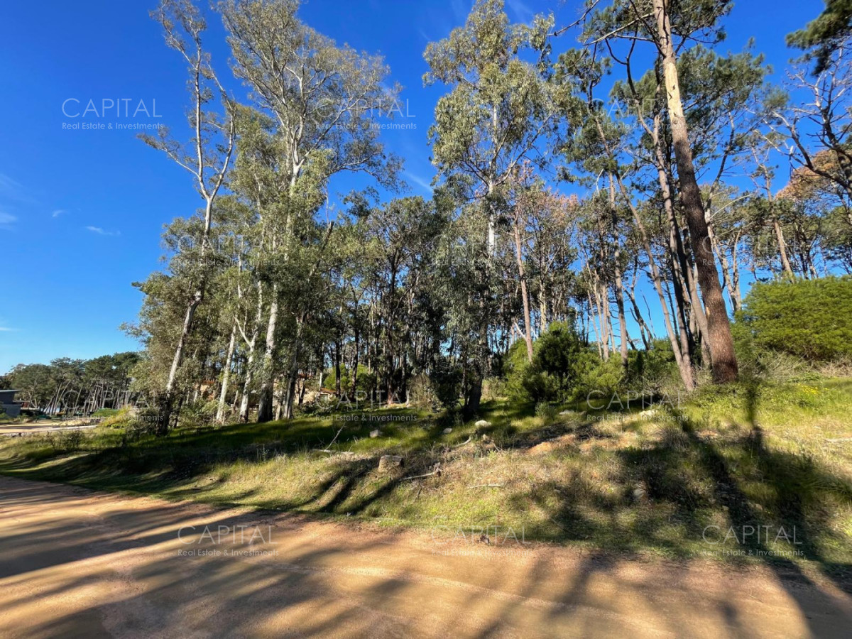 Terreno ID.40412 - Lote en venta en barrio cerrado Reserva Montoya en La Barra 
