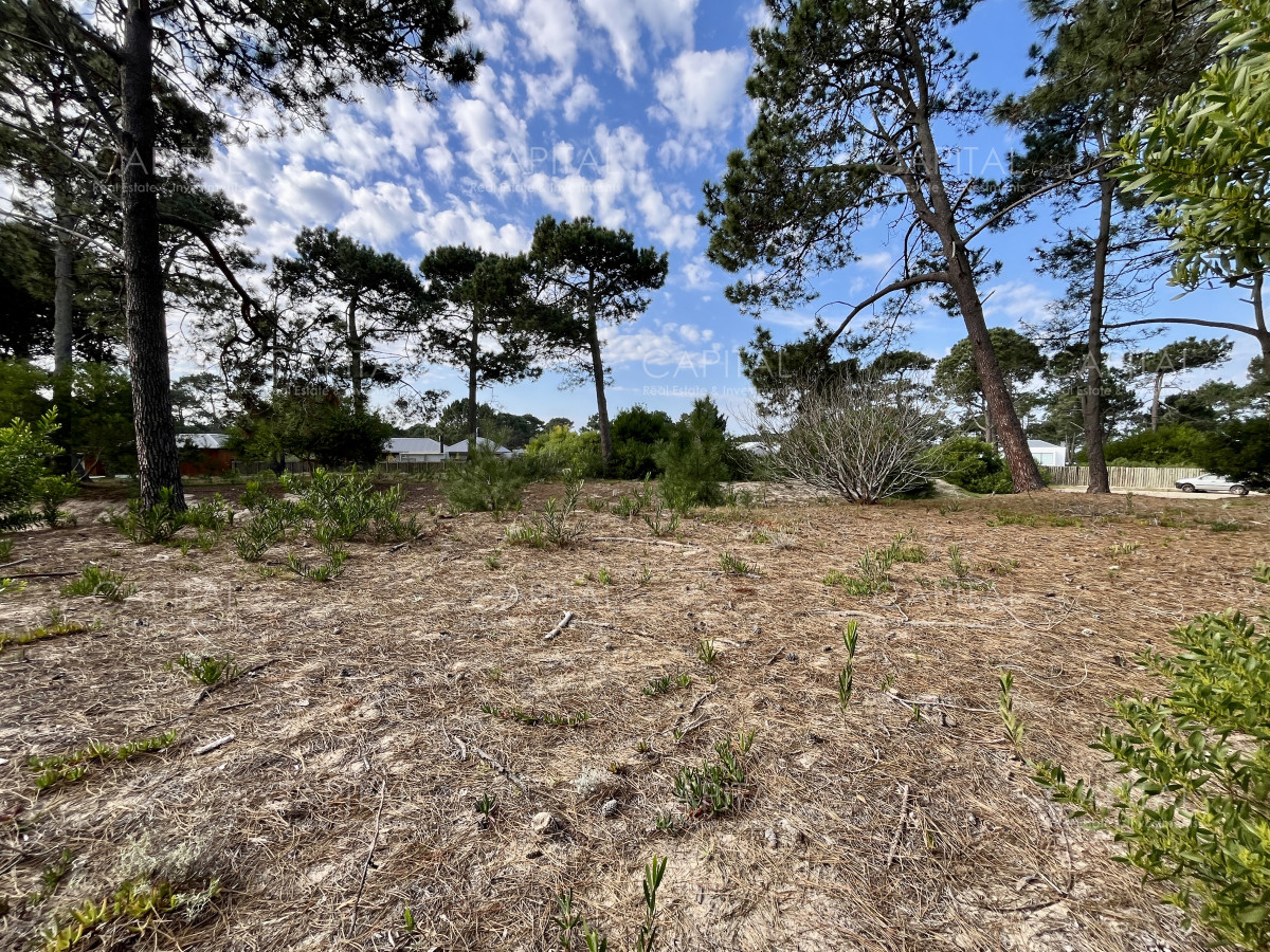 Terreno ID.38623 - Terreno en venta Jose Ignacio en Barrio Privado 