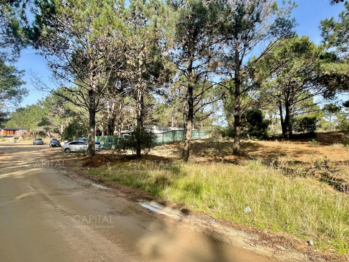 Terreno ID.38236 - Laguna Escondida barrio cerrado en José Ignacio 