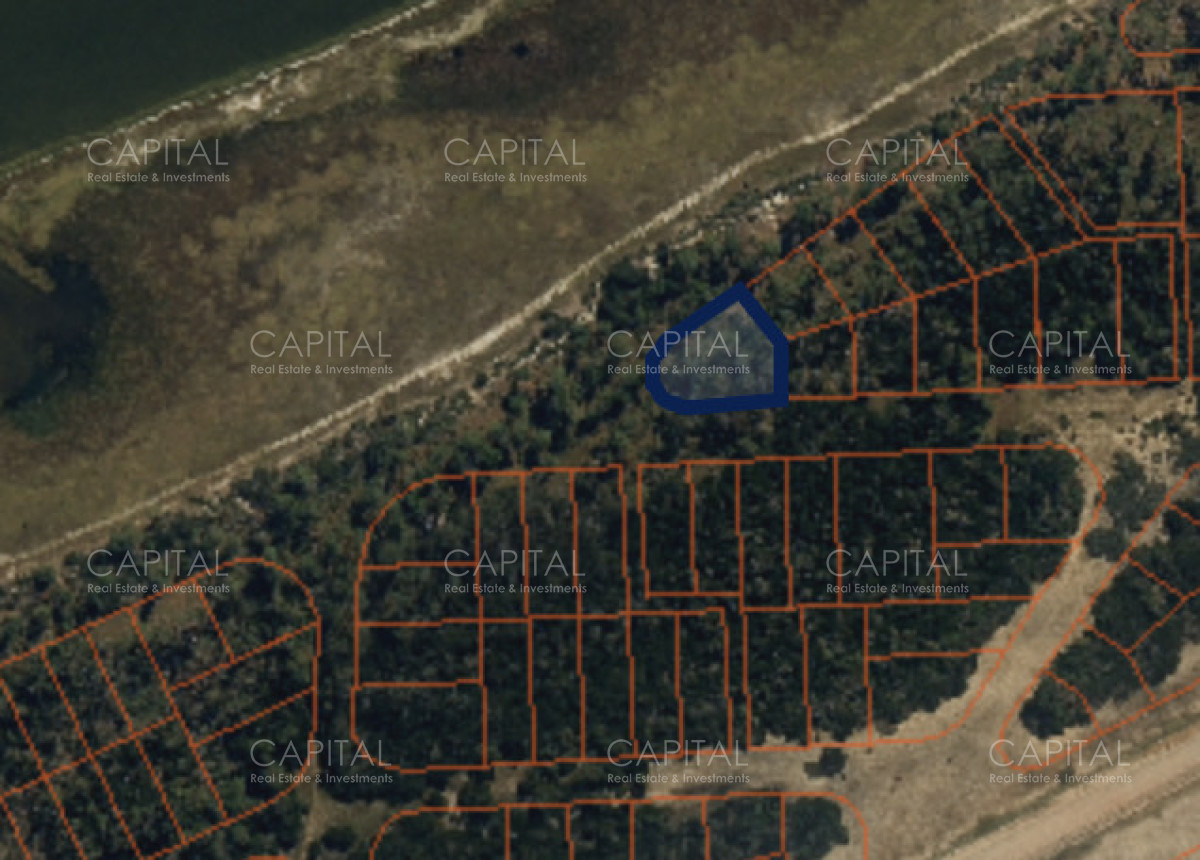 Terreno ID.38476 - Primera linea en el caracol