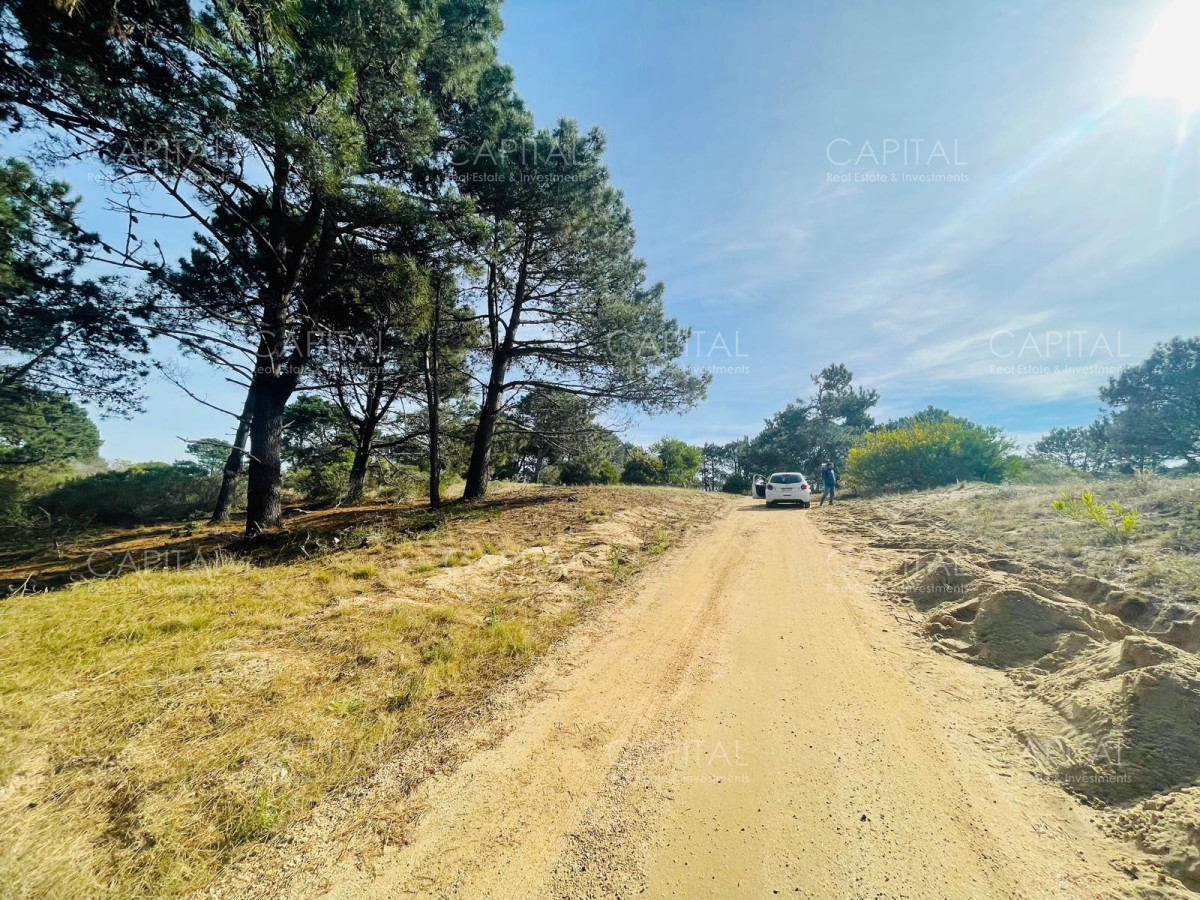 Terreno ID.32214 - Laguna Escondida barrio cerrado en Jose Ignacio 
