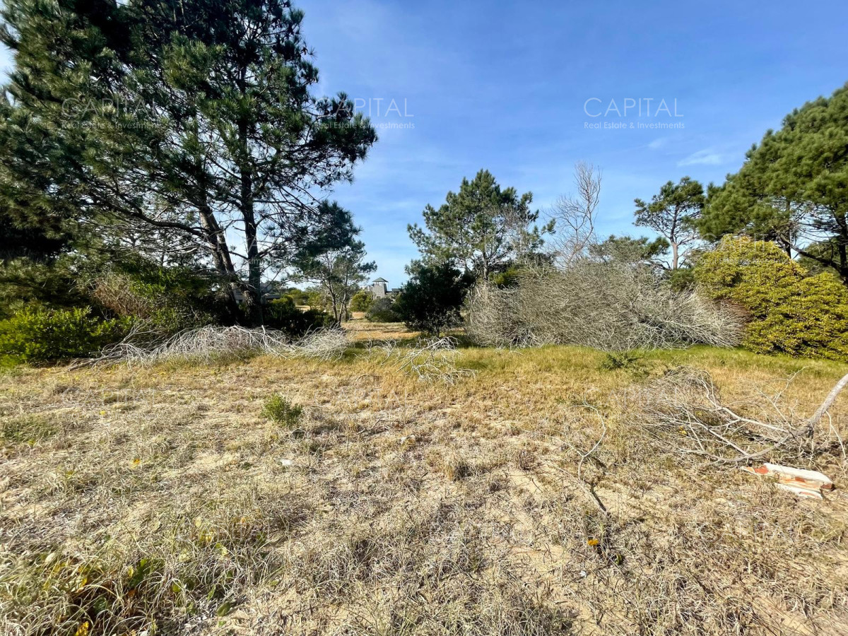 Terreno ID.38234 - Laguna Escondida barrio cerrado en Jose Ignacio 