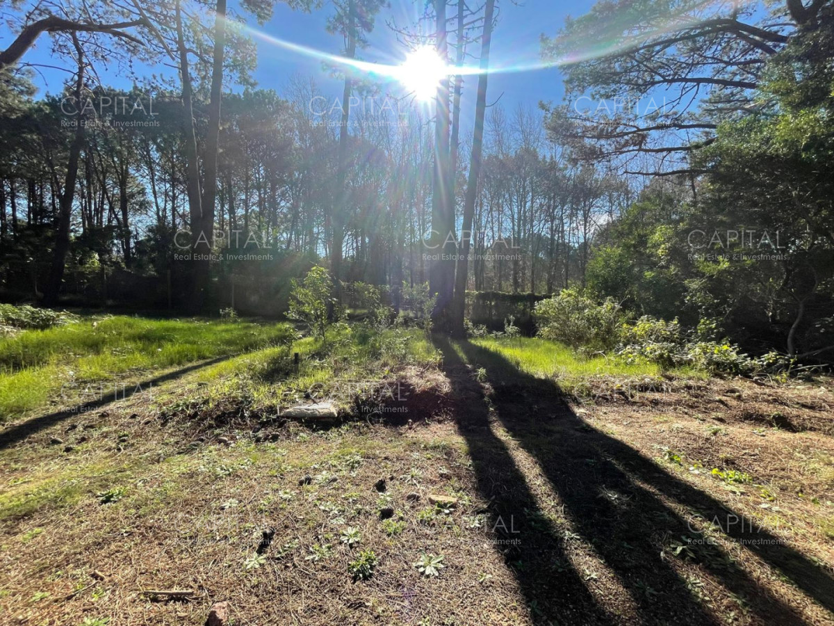 Terreno ID.38189 - Oportunidad Lote en barrio cerrado Reserva Montoya La Barra