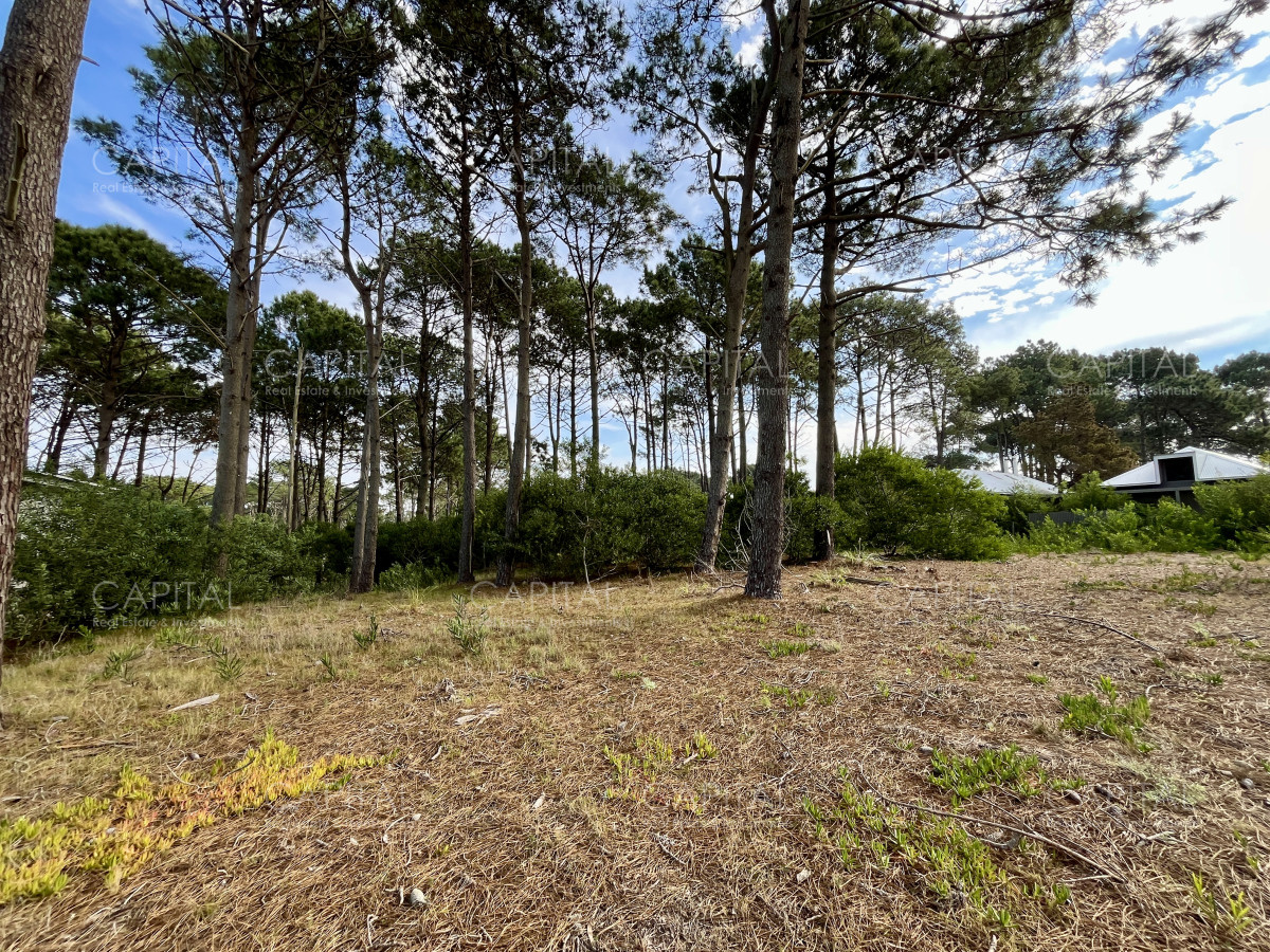 Terreno ID.38623 - Terreno en venta Jose Ignacio en Barrio Privado 