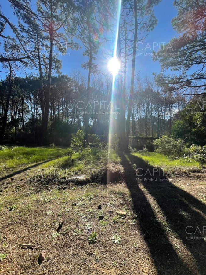 Terreno ID.38189 - Oportunidad Lote en barrio cerrado Reserva Montoya La Barra