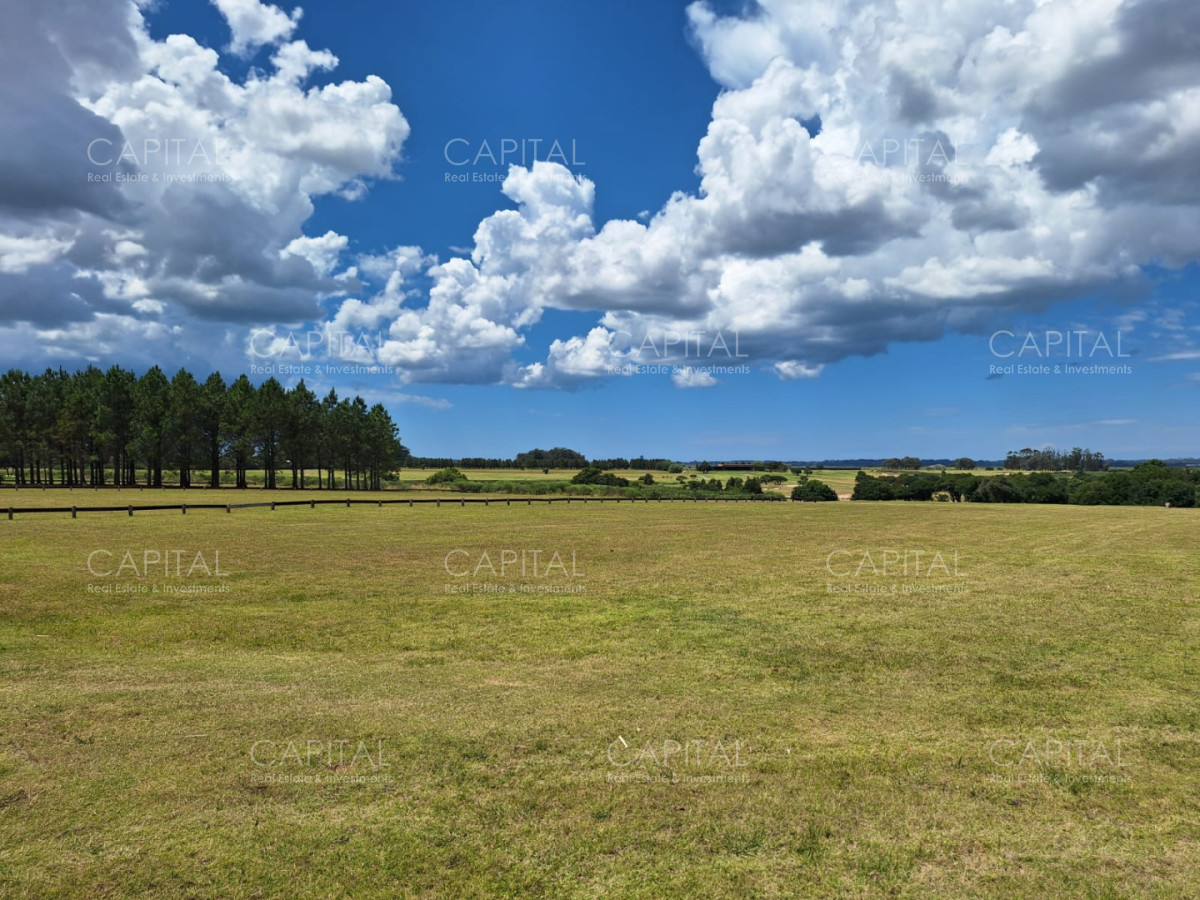 Terreno ID.39745 - Terreno en Venta en Fasano 