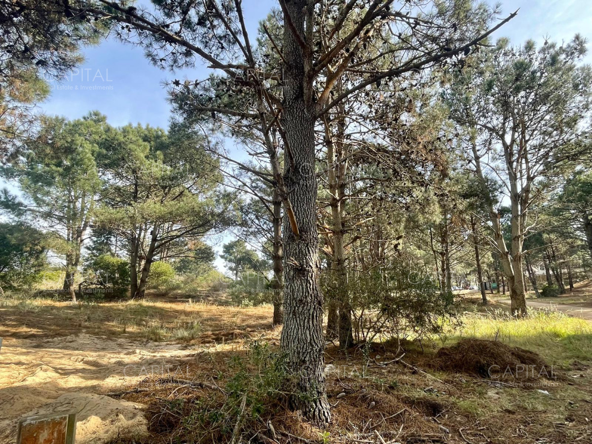 Terreno ID.38236 - Laguna Escondida barrio cerrado en José Ignacio 