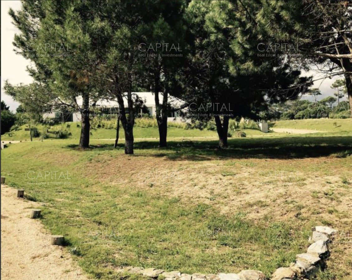 Terreno ID.39126 - Lote en venta Pinar del Faro en José Ignacio
