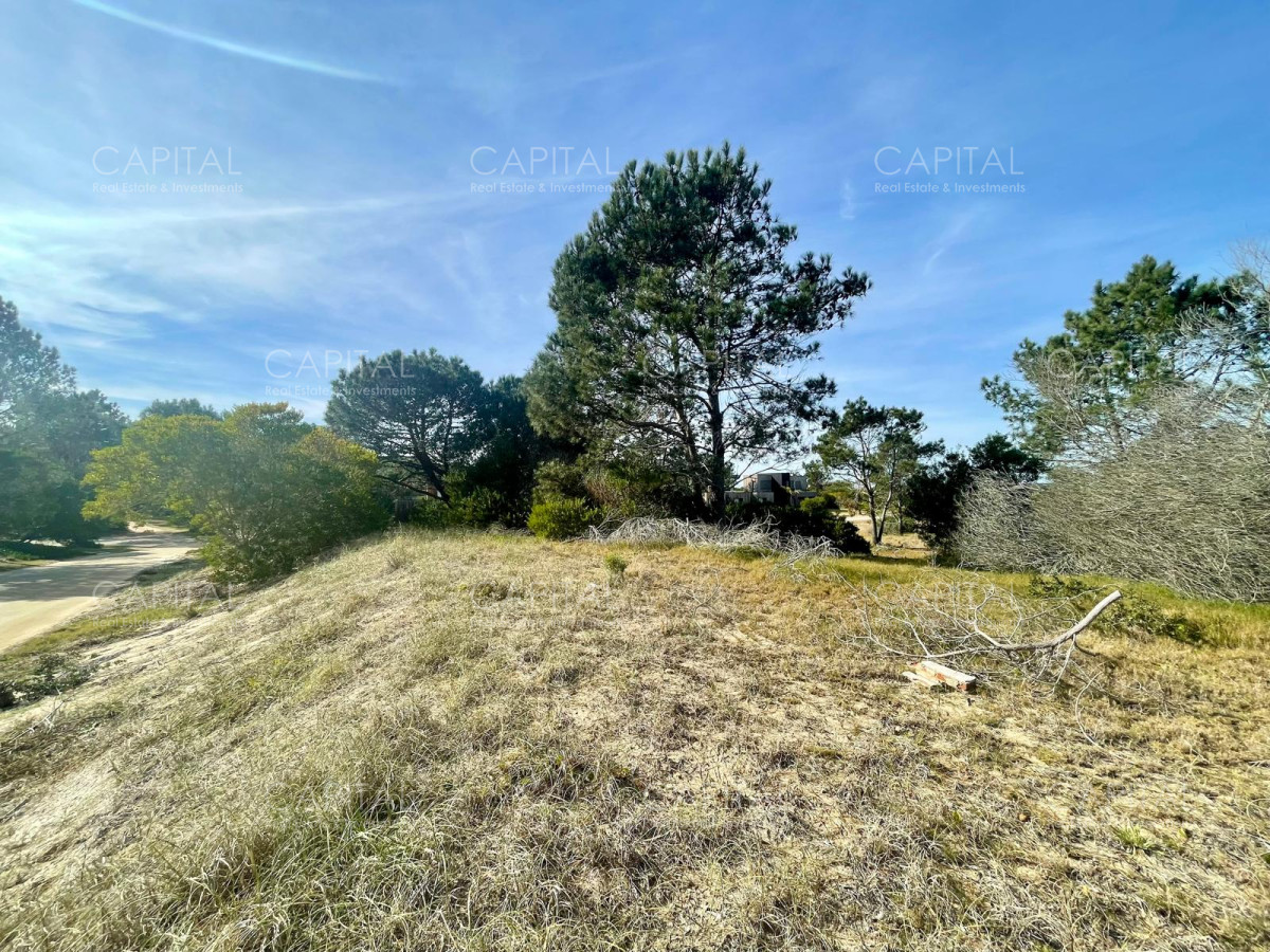 Terreno ID.38234 - Laguna Escondida barrio cerrado en Jose Ignacio 