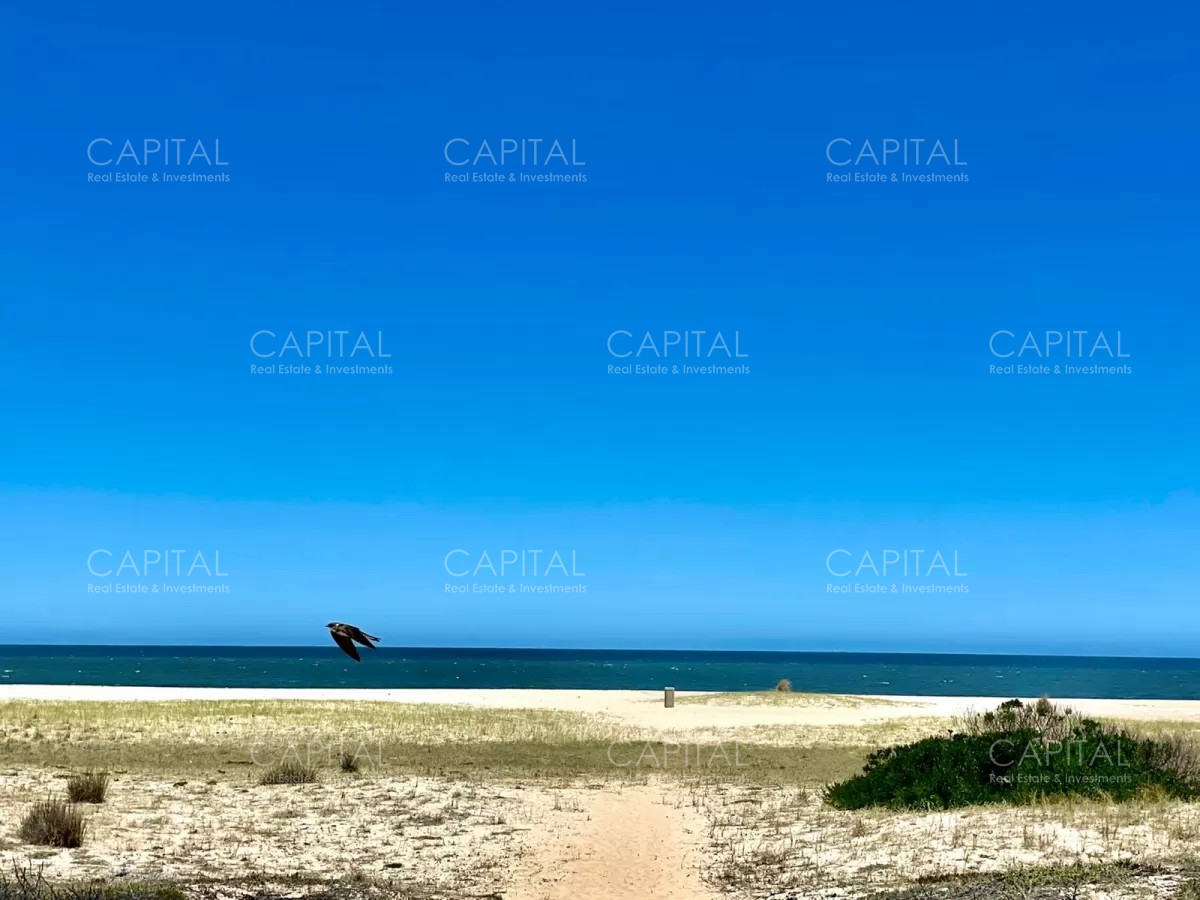 Terreno ID.33978 - Lote Primera Linea Frente al Mar en Montoya, La Barra, Punta del Este en Venta, Ideal para Edificaciones e Inversores 