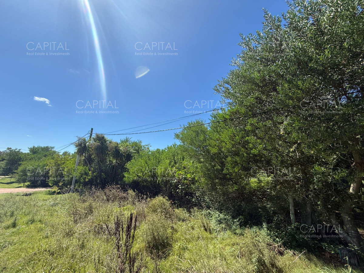 Terreno ID.39890 - Terreno en Venta Miramar Acres