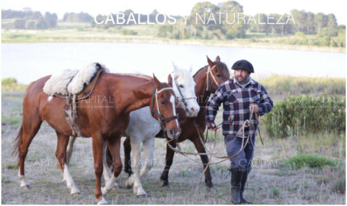 Terreno ID.39491 - Laguna Escondida barrio cerrado en Jose Ignacio 