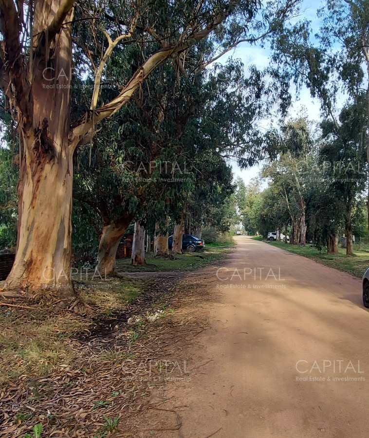 Terreno ID.31203 - Buen lote en Venta en la Barra el Tesoro 