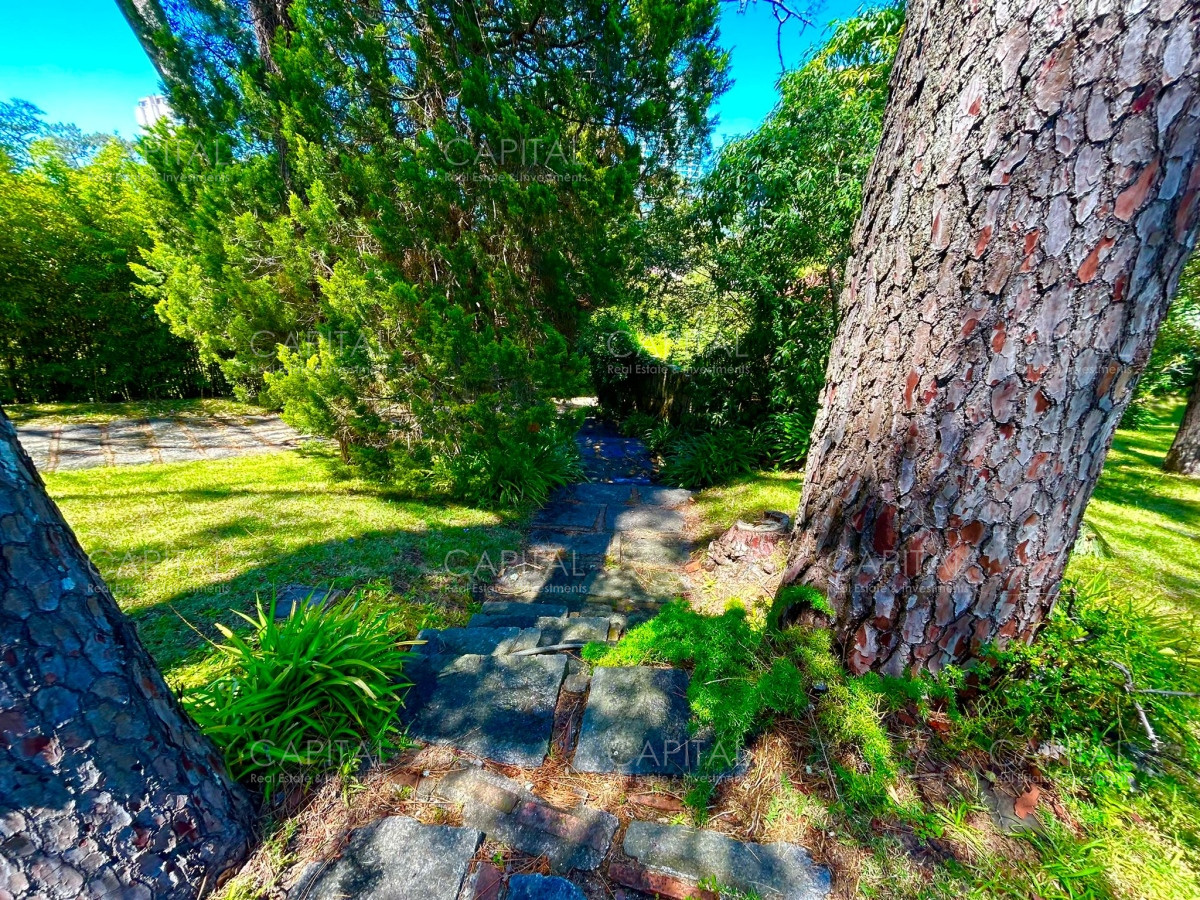 Terreno ID.35452 - Terreno apto para edificio en venta.