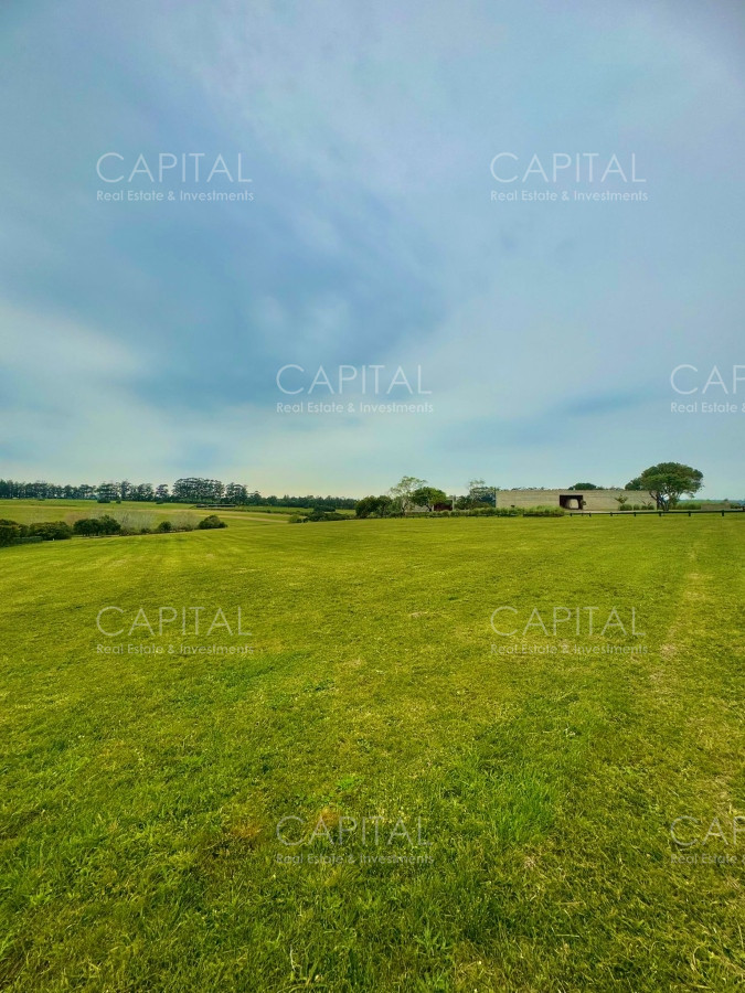 Terreno ID.36923 - Terreno en Venta en Fasano 