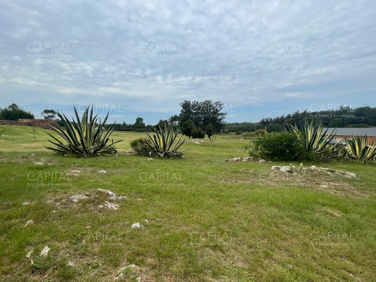 Terreno ID.37851 - Terreno en venta en Pueblo Coyote Mangrullos Manantiales