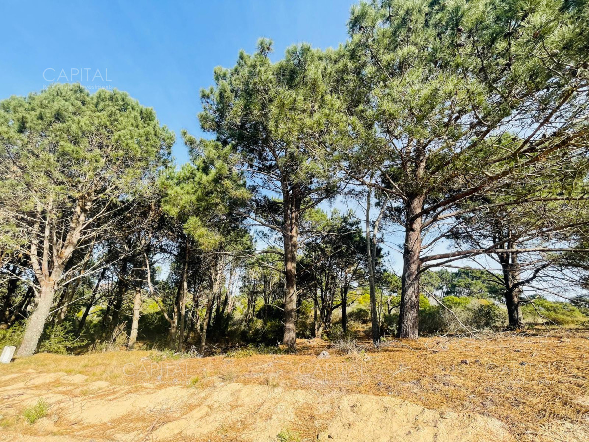 Terreno ID.32214 - Laguna Escondida barrio cerrado en Jose Ignacio 