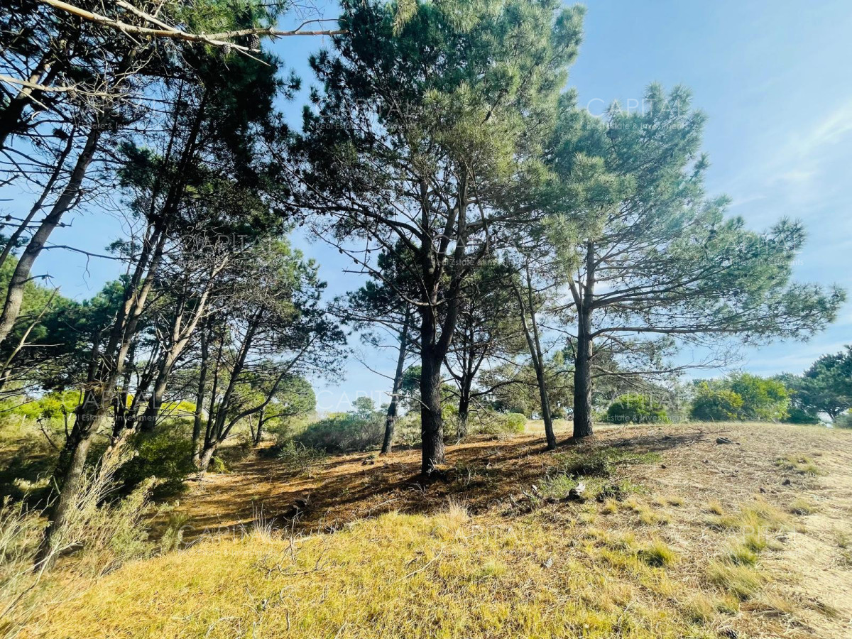Terreno ID.32214 - Laguna Escondida barrio cerrado en Jose Ignacio 
