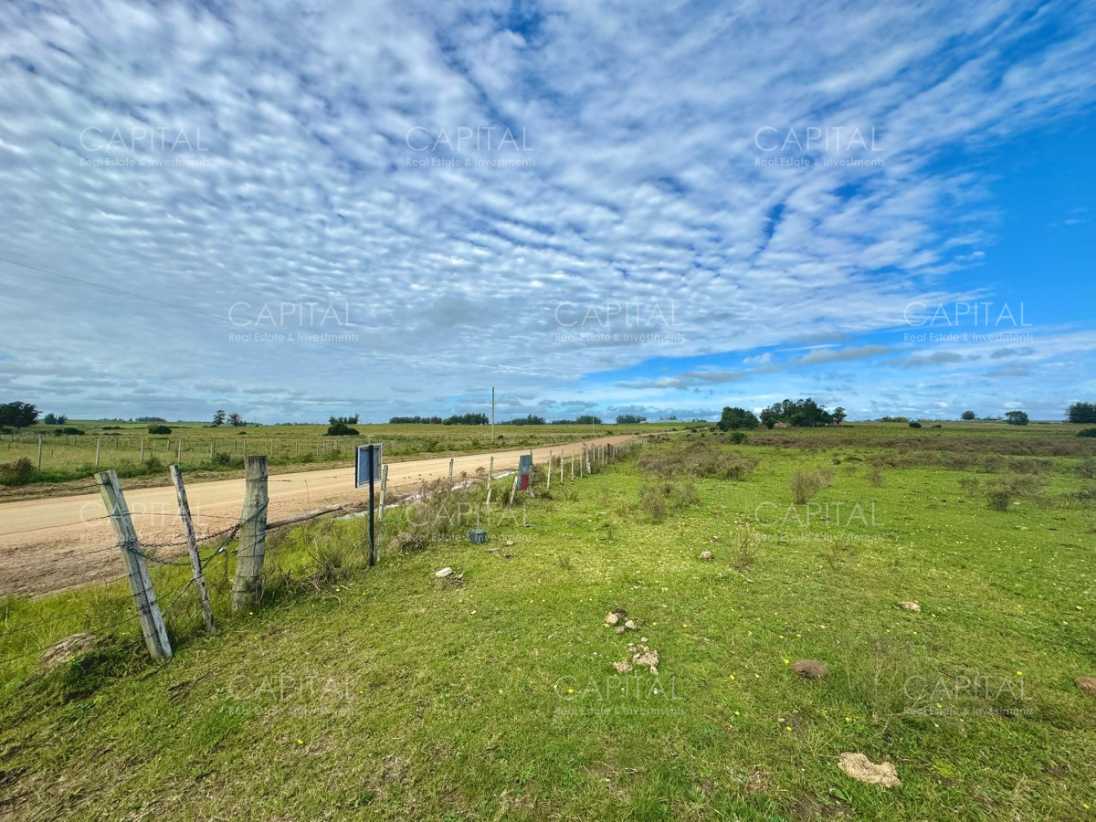 CHACRA de 5 hectáreas en Venta en Sierra de los Caracoles - CCP36241T