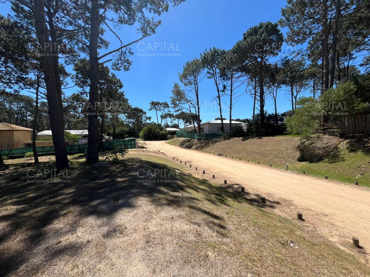 Terreno ID.37115 - Terreno Pinar Del Faro José Ignacio 