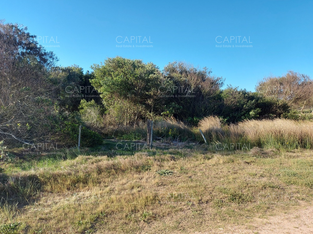 Terreno ID.26316 - Terreno en venta, La Juanita, José Ignacio