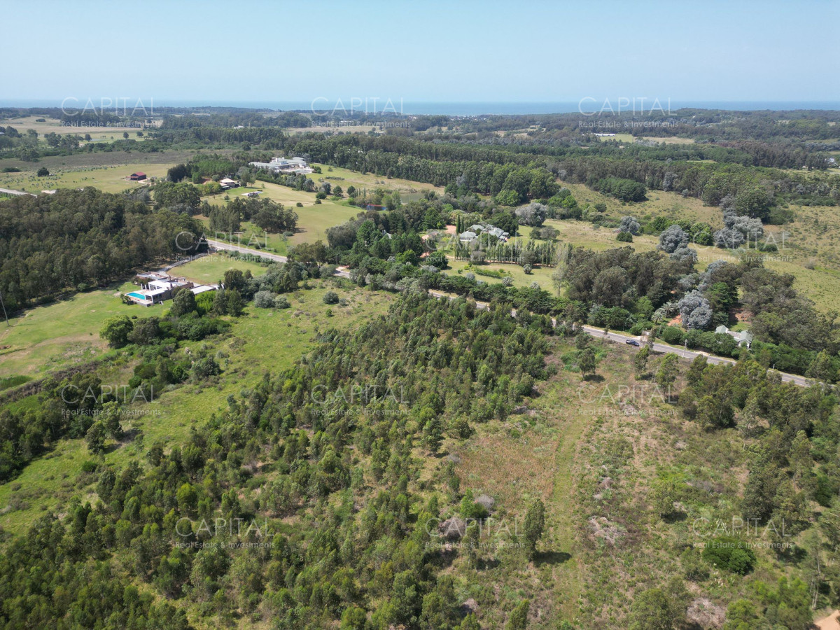 Chacra en venta en La Barra - CCP36081T