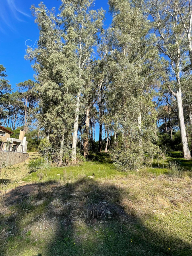 Terreno ID.40411 - Lote en venta en barrio cerrado Reserva Montoya en La Barra próximo almar