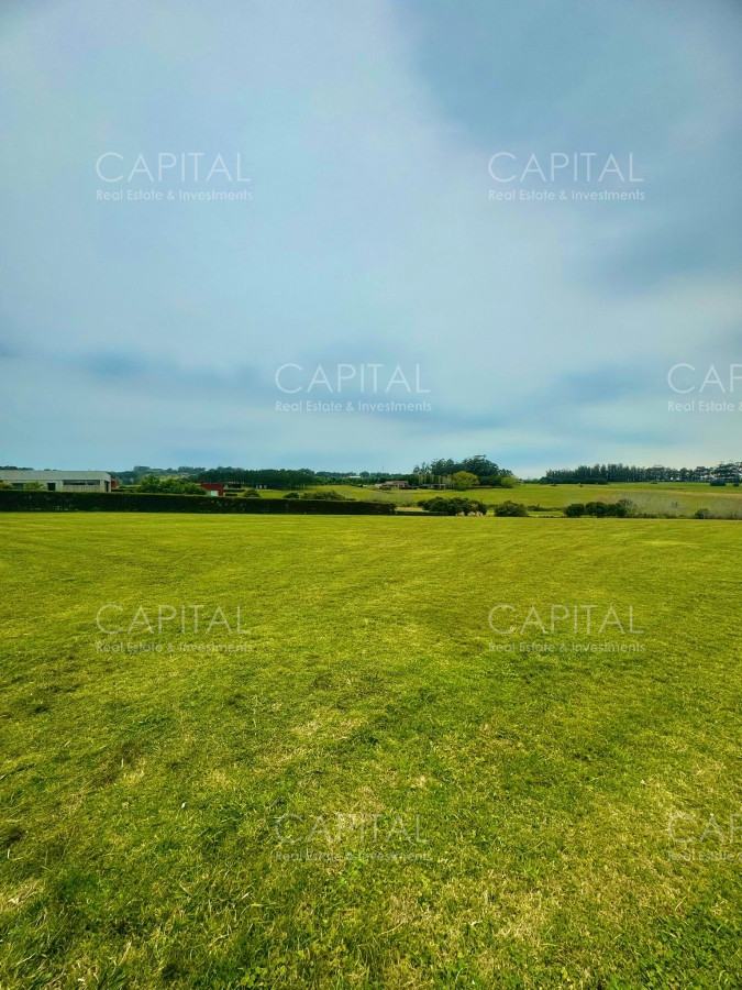 Terreno ID.36923 - Terreno en Venta en Fasano 