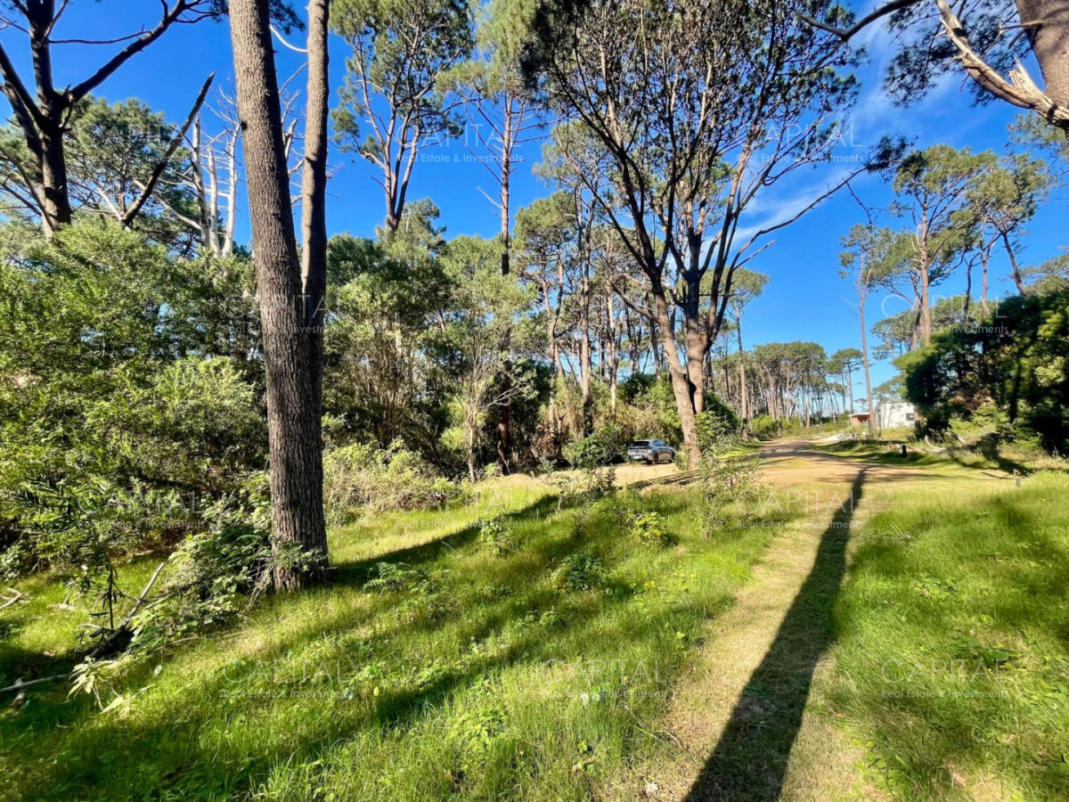 Terreno ID.38189 - Oportunidad Lote en barrio cerrado Reserva Montoya La Barra