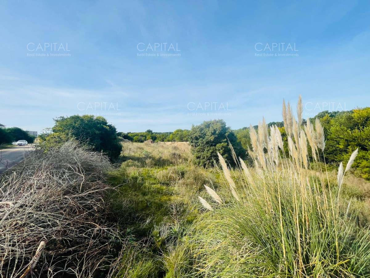 Terreno ID.32227 - Lote en venta en Laguna Escondida José Ignacio 