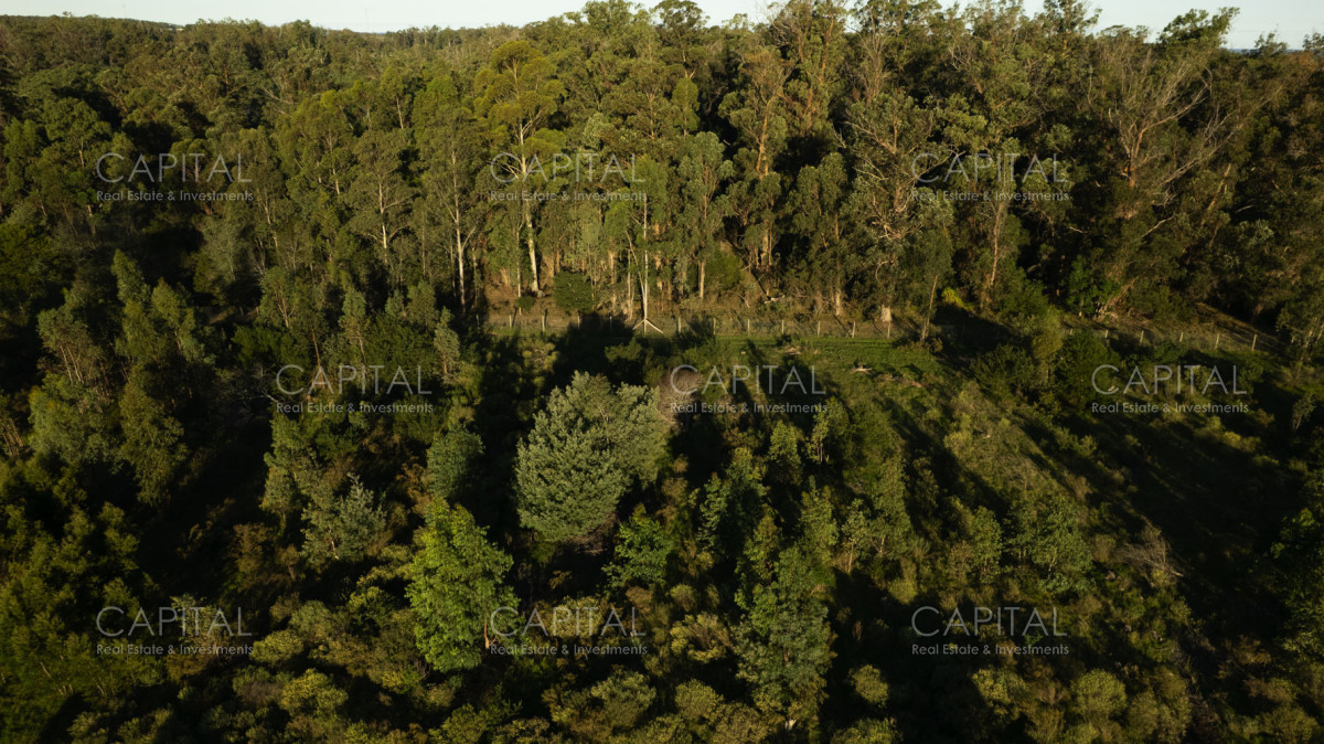 Terreno ID.37598 - Terreno en venta en Eden Rock - Zona en crecimiento