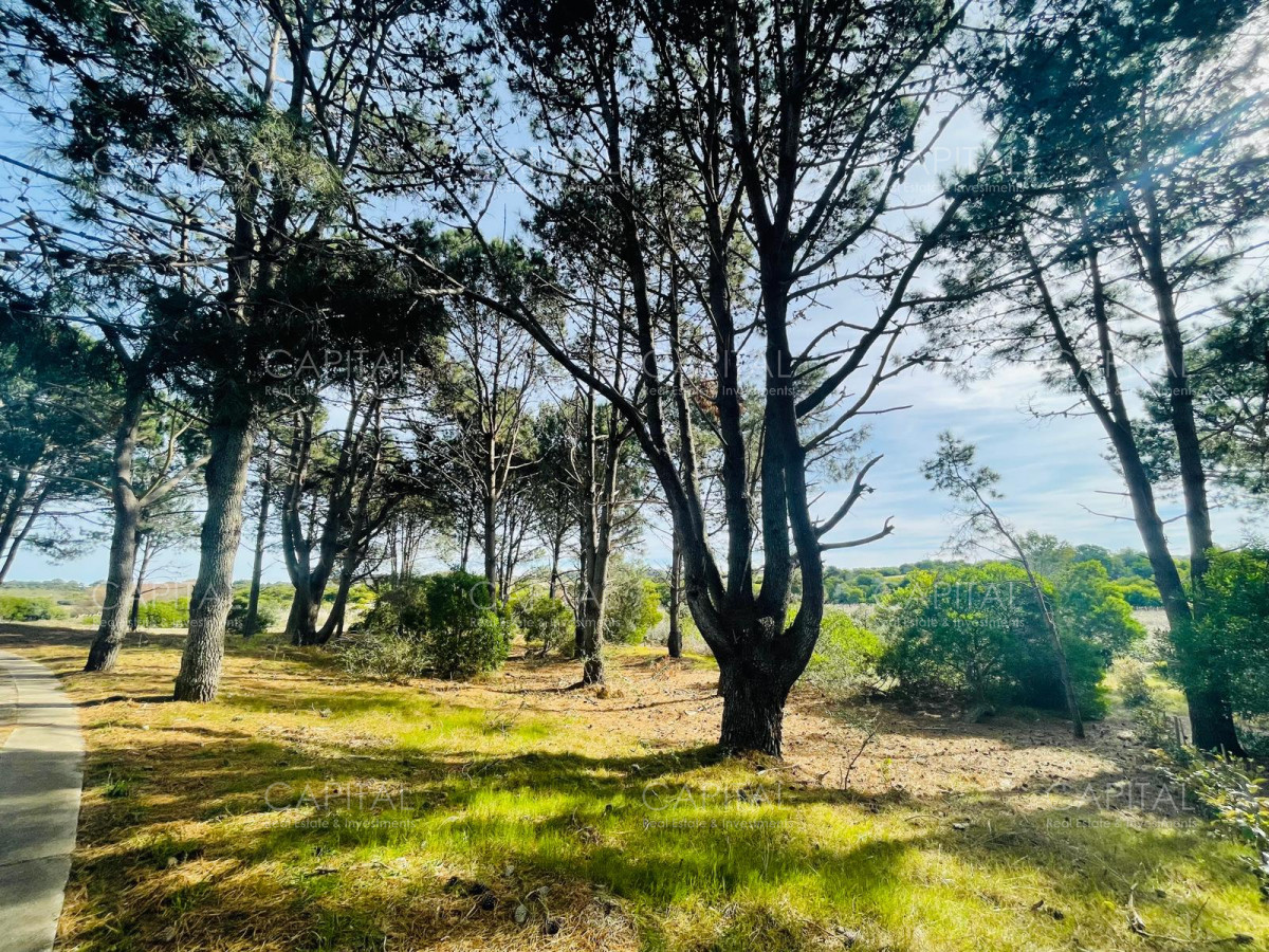 Terreno ID.32224 - Lote en venta en Laguna Escondida José Ignacio 