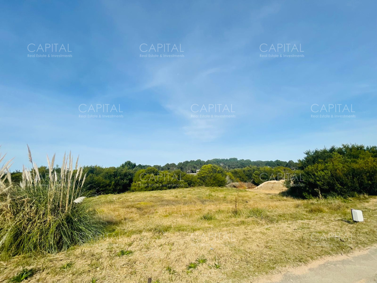 Terreno ID.38233 - Lote en venta en Laguna Escondida Jose Ignacio