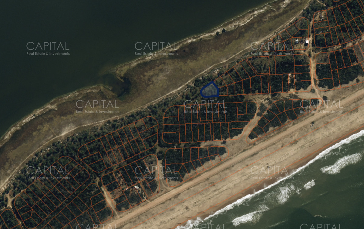 Terreno ID.38476 - Primera linea en el caracol