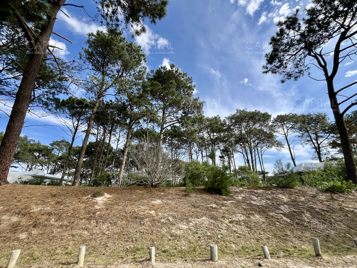 Terreno ID.38623 - Terreno en venta Jose Ignacio en Barrio Privado 